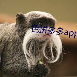 色拼(拼)多(多)多(多)app官网