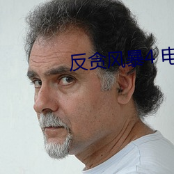 反贪风暴4 电影