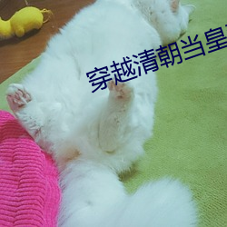 vwinӮ(й) - ٷվ
