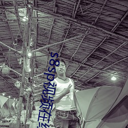 s8sp视频在(在)线观看