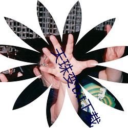天珠变txt下载(載)
