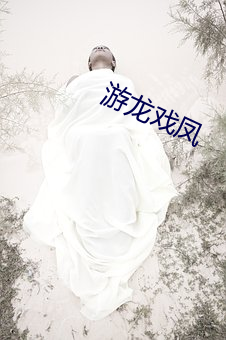 游龙戏凤