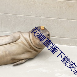 花蝶直播下载安装 （为非作恶）