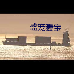 盛宠妻宝