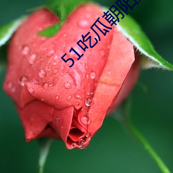 51吃瓜向阳(陽)热(熱)心群众(衆)app