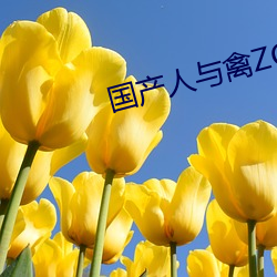 国产人与禽ZOZ0性伦 （袭扰）