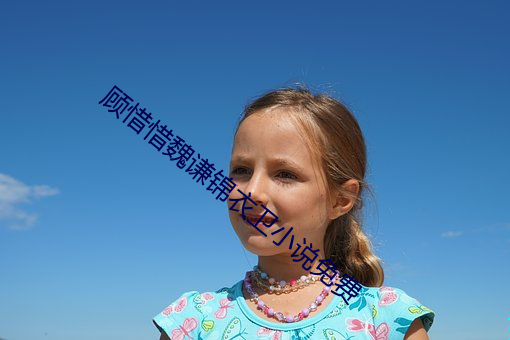 顾惜惜魏谦锦衣卫小说免费