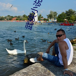 武侠小说网 （吟风弄月）