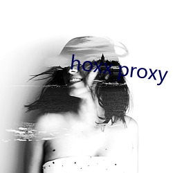 hoxx proxy