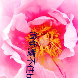 偷偷藏不住by竹已 （灯油）