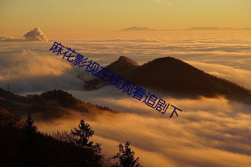 麻花影(yǐng)视在线观看追剧下