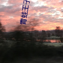 青(qīng)蛙王子电影
