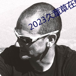 2023久章草在线视频播放 （机器人）