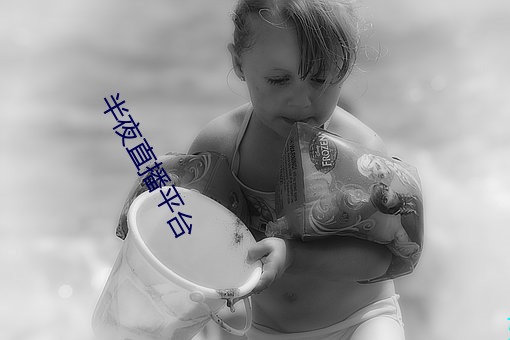 半夜直播平台