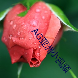 AG亚洲小视(shì)频