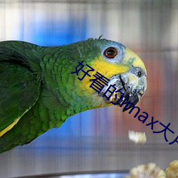 好看的imax大片