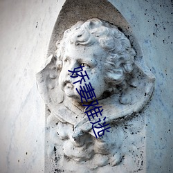 娇妻难逃