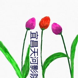 宜昌天河影院