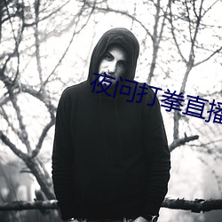 夜问打拳直(zhí)播(bō)