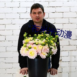 布米米动漫 （静物）