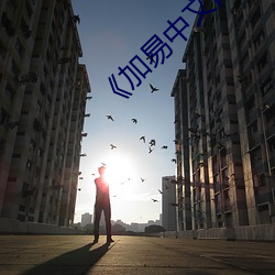 《加易中文网》 （半壁江山）