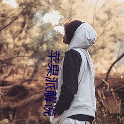 苹果派(pài)解说