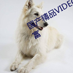 国产精品VIDEOXXXX国产资源非常丰富