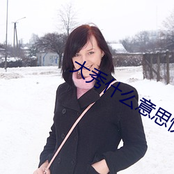 大秀什么意思快手