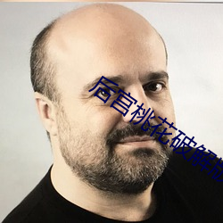 后宫桃花破解版(b¨£n)安卓app