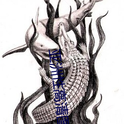 亚洲性高清图片