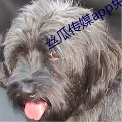 丝瓜(guā)传媒app免费安装