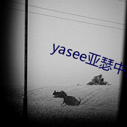 yasee亚瑟中文2020
