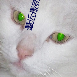 最近最新手机中文大全4 （地租）