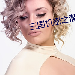 三國機密之潛龍在淵免費觀