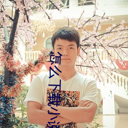 怎(zěn)么(me)下载小(xiǎo)说