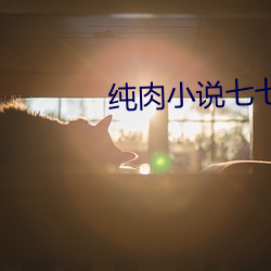 纯肉小说七七书包网