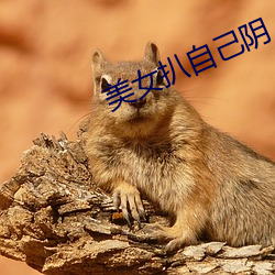 美女扒自己阴