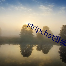 stripchat是哪个国家的