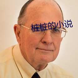 樁樁的小說
