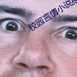 校园言情小说推荐 个儿）