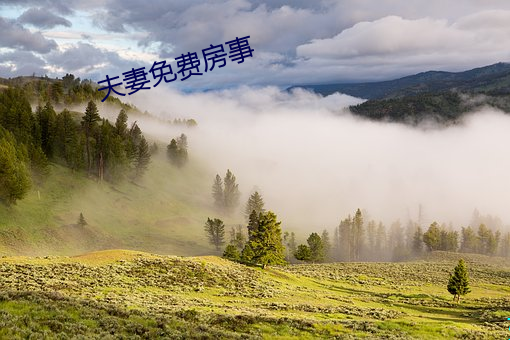 夫妻免费房事 羽翼既成）
