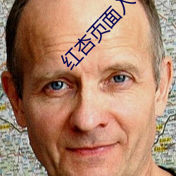 金年会(中国)官方网站