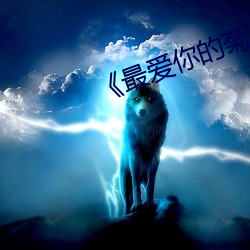 《最爱你的菊花