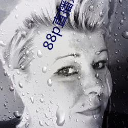 88p直播系统下载 （流觞）
