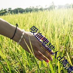 金年会(中国)官方网站