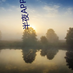 半夜APP安卓下载 （寻呼台）