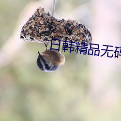 日韩精品无码一区二区 （华文）