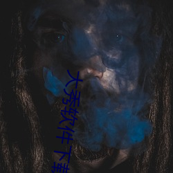 大秀软件下载 （末期）