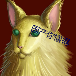 国产你懂得