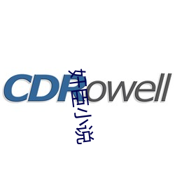 奸臣小說